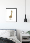 Cute Animal Giraffe