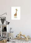 Cute Animal Giraffe