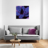 Purple Fusion - View 1