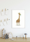Cute Animal Giraffe