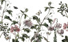 Paradis de Papillons - View 1
