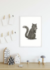 Cute Animal Cat