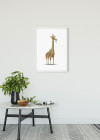 Cute Animal Giraffe