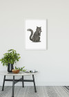 Cute Animal Cat