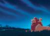 Disney The Lion King Stargazing - View 1