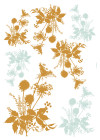 Wiesenblumen - View 1
