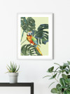 Green-Winged Macaw