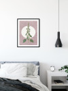 Menthe en Croissance