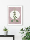 Menthe en Croissance