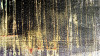 Gaze Dancing orange - View 1