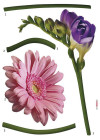 Fiore - View 1