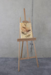 Pressed Leaves - View 1