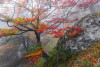 Euphoria - View 1