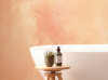 Candy Peach - View 1