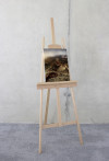 Down to Earth - View 1