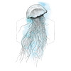 Jellyfish Watercolor
