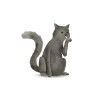 Cute Animal Cat