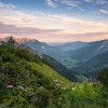 Naturpark Allgäuer Hochalpen