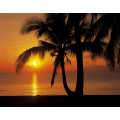 Palmy Beach Sunrise - Thumbnail View 1