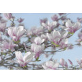 Magnolia - Thumbnail View 1