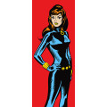 Marvel PowerUp Widow