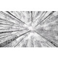 Weiss-Blau - Thumbnail View 1