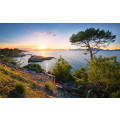 Southern Light - Thumbnail View 1