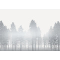 Silver Haze - Thumbnail View 1