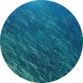 Calm - Thumbnail View 1