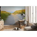 Sandy Path - Thumbnail View 1