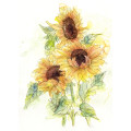 Girasol - Thumbnail View 1