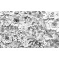 Shades Black and White - Thumbnail View 1