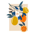 Styling Fruits - Thumbnail View 1