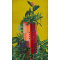 Plant House - Thumbnail View 1