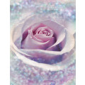 Delicate Rose - Thumbnail View 1