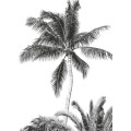 Retro Palm - Thumbnail View 1