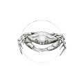 Marmoretta - Thumbnail View 1