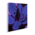 Purple Fusion - Thumbnail View 1