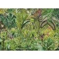 Colorante - Thumbnail View 1