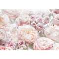 Spring Roses - Thumbnail View 1