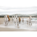 White Horses - Thumbnail View 1