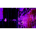 Bubbles Ascending darkblu-pinke - Thumbnail View 1