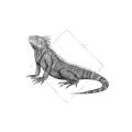 Wonder Wall - Thumbnail View 1