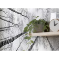 Weiss-Blau - Thumbnail View 1