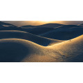 Body Lines - Thumbnail View 1