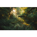 Hall of Mosses - Thumbnail View 1