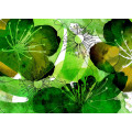 Aquarell - Thumbnail View 1