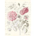 Thorns and Roses  - Thumbnail View 1