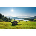 Bergwiese vor Karwendel - Thumbnail View 1