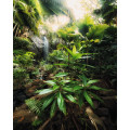 Spirit - Thumbnail View 1